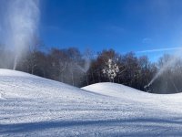 Belle3.jpg Belle3.jpg