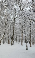 20260107_091534.jpg 20260107_091534.jpg