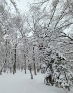 20260107_091602.jpg 20260107_091602.jpg