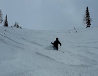 8 dec 2026 phone 3 shot snowbird.jpg