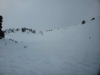 middle cirque 8 jan 2026 snowbird.jpg