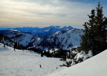 snowbird 11 jan 2026.png