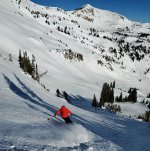 near bookends 15 jan 2026 snowbird.jpg