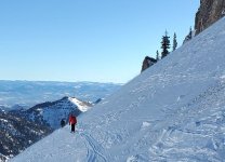 cat track to near bookends 15 jan 2026.jpg