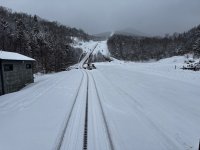 IMG_3290.jpeg IMG_3290.jpeg