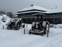 IMG_3251.jpeg IMG_3251.jpeg