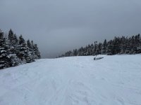 IMG_3367.jpeg IMG_3367.jpeg