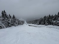 IMG_3382.jpeg IMG_3382.jpeg