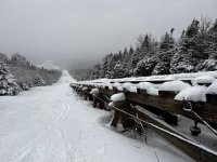 IMG_3390.jpeg IMG_3390.jpeg