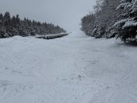 IMG_3397.jpeg IMG_3397.jpeg