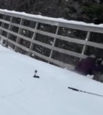 IMG_1076.jpeg IMG_1076.jpeg