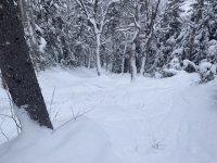 IMG_7112.jpeg IMG_7112.jpeg