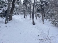 IMG_7113.jpeg IMG_7113.jpeg