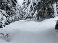 IMG_7119.jpeg IMG_7119.jpeg