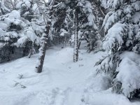 IMG_7120.jpeg IMG_7120.jpeg