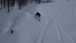 IMG_7151.jpeg IMG_7151.jpeg