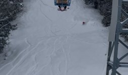 IMG_7154.jpeg IMG_7154.jpeg