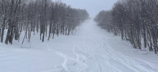 IMG_7153.png IMG_7153.png