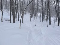 IMG_7144.jpeg IMG_7144.jpeg