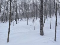 IMG_7146.jpeg IMG_7146.jpeg