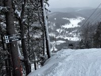 IMG_3884.jpeg IMG_3884.jpeg