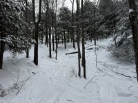 IMG_3887.jpeg IMG_3887.jpeg