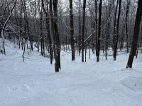 IMG_3894.jpeg IMG_3894.jpeg