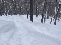 IMG_7169.jpeg IMG_7169.jpeg