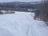 IMG_7175.jpeg IMG_7175.jpeg