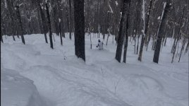 IMG_7183.jpeg IMG_7183.jpeg