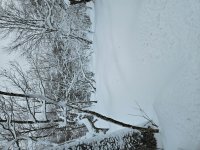 jay for az.jpg jay for az.jpg