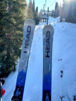 head super shapes 2 feb 2026 solitude.jpg