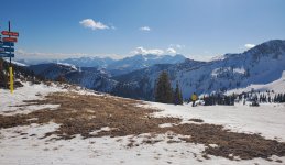 snowbird turf 7 feb 2026.jpg