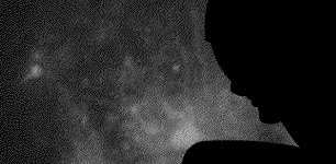 Screen Shot 2026-02-12 at 3.59.22 PM.png