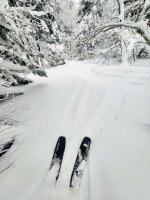 1000112439.jpg 1000112439.jpg