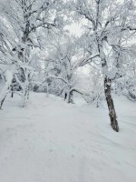 1000112445.jpg 1000112445.jpg