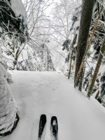 1000112444.jpg 1000112444.jpg