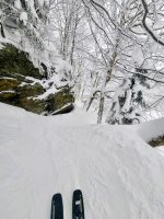 1000112441.jpg 1000112441.jpg