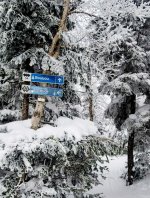 1000112442.jpg 1000112442.jpg