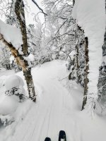 1000112443.jpg 1000112443.jpg