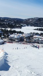 1000112559.jpg 1000112559.jpg