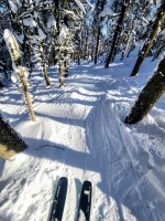 1000112556.jpg 1000112556.jpg