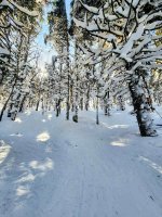 1000112557.jpg 1000112557.jpg