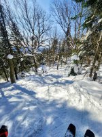 1000112553.jpg 1000112553.jpg