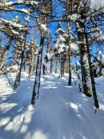 1000112554.jpg 1000112554.jpg