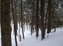 Okemo 3 22 008.jpg