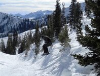 snowbird mineral basin.jpg