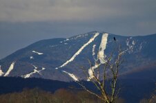 IMG_9745.jpg