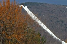 IMG_9766.jpg