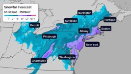 1771623464663.jpeg 1771623464663.jpeg